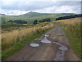 Blakedean track to Attonburn near Yetholm