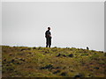 H1383 : Man on Meenbog Hill by Kenneth  Allen
