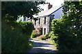 Quiet back lane in Lizard