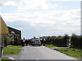 Dairy cattle crossing the Killard Road