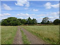 Delamere way approaches a copse near Hurst Farm