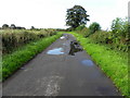 H6058 : Puddles along Tullylinton Road by Kenneth  Allen