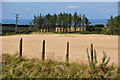 North Devon : Grassy Field