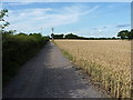 Up the track to Far Laches Farm