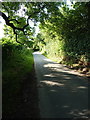 Latherford Lane south of Calf Heath