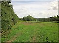 Field above the Bovey