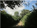 Lane above Drewston