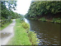 The Rochdale Canal at Eastwood