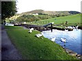 SD9424 : Geese beside Old Royd Lock by Graham Hogg