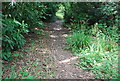 Footpath west of the A281