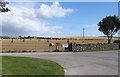 Baled straw at Chambers Farm, Tullynaskeagh