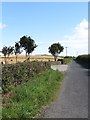 View east along Ballyhosset Road