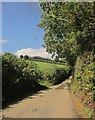 Lane past Stone Copse