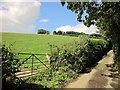 Lane past Stone Copse