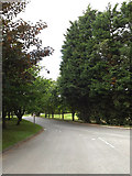 TL9637 : Entrance of Stoke By Nayland Golf Club by Geographer
