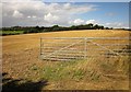 Field near Square Bookhams