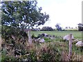 A view to South Footie farmhouse