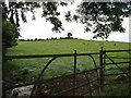 Drumlin grazing land south of the Ballyhosset Road