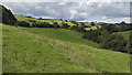 Fields viewed from the Limestone Link path