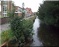 North along the Avon from Avon Approach, Salisbury