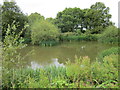 Pond at Bradley Green