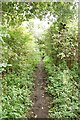 Bridleway near Honeywood Farm