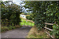 The M6 from Jepps Lane