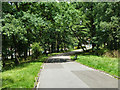 Road in Grangewood Park