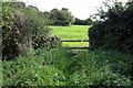 Stile on the path to Cadborough Farm