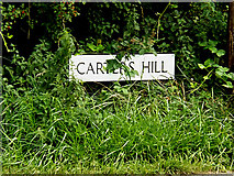 TM0033 : Carters Hill sign by Geographer