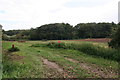 Private Road to Croxby Pond Plantation