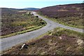 Road junction above Little Rogart