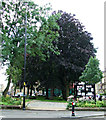 Garden at Parkgrove Terrace