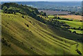 ST8951 : View southwest of Bratton Camp, Wiltshire by Edmund Shaw