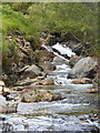 NR9838 : Rapids in Glenrosa Water by sylvia duckworth