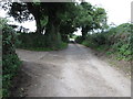 Access road from Ballysallagh Road to Dillon House Farm