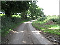 Ballysallagh Road ascending in the direction of the junction with Dillin Road