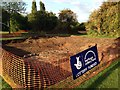 Second Manor Farm Park dig