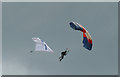 SX8851 : Dartmouth Regatta - parachuting team by Chris Allen