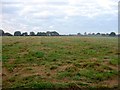 TQ2519 : Barn Field (3) by Simon Carey