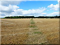 Footpath to Closedown Wood