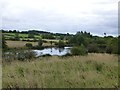 Pond below Whinny Hill