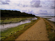 SU4808 : The Bunny Meadows footpath by Mark Percy