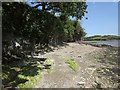 Foreshore near The Creek