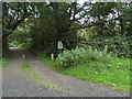 Path to Little Bookham Common