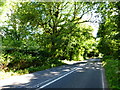 Looking south on New Odiham Road