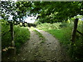 Byway going east from the B3349 emerges from woodland