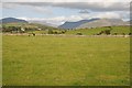 View over Penygroes to Snowdonia