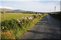 Country road near Penygroes