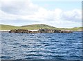 NR1863 : Eilean an Tannais-sgeir, Islay by Becky Williamson